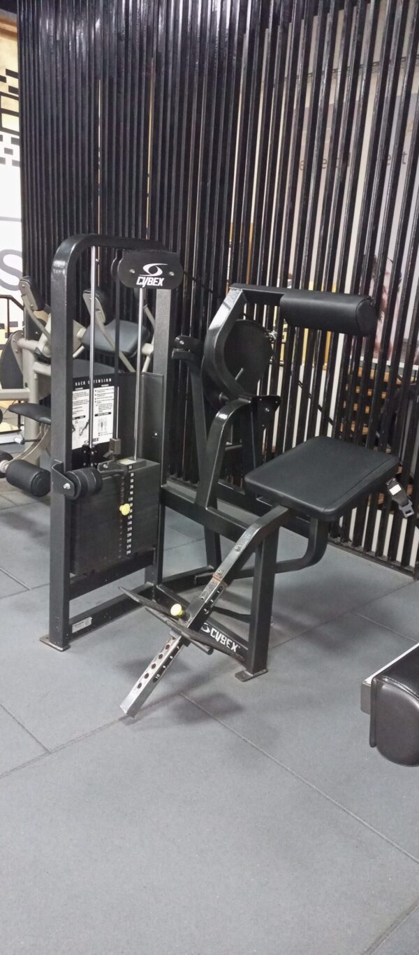 Cybex Back Extension - Image 2
