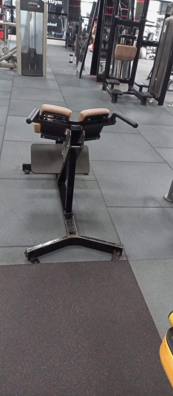 Hammer Strength Back Extension - Image 2