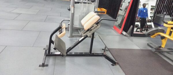 Hammer Strength Back Extension - Image 3