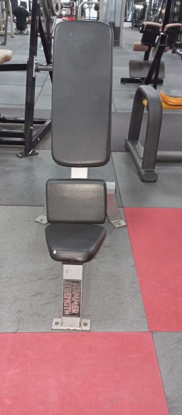 Hammer Strength 45 Bench - Image 3