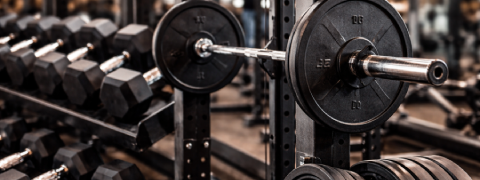 Commercial gym equipment supplied by Zizu Investments in Kenya