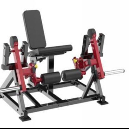 Lateral Leg Extension
