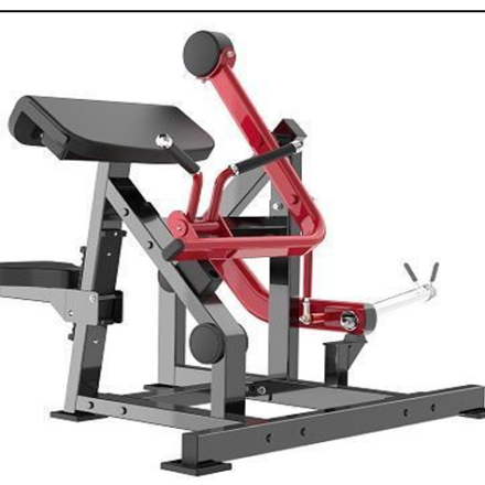 Seated Biceps
