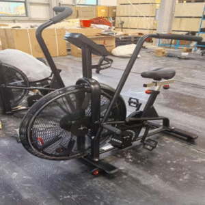 Crossfit combat bike